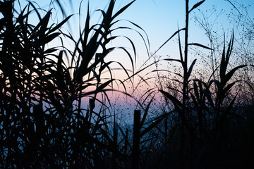 Sunset ocean horizon sky clouds sunset landscape