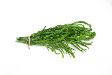 Leucaena leucocephala leaf isolated on white background.