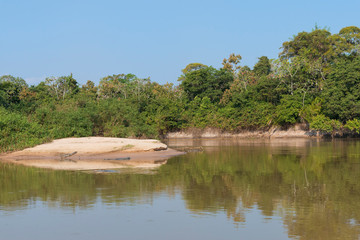 Fototapeta na wymiar Cuiaba River, Pantanal, Mato Grosso State, Brazil