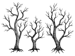 Tree without leaves graphic dead plant black white isolated sketch illustration vector