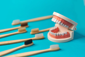 White teeth model with wooden toothbrushes on blue background. me to dental health. Dentist day concept. copy space for text.