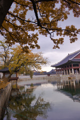 The scenery of Autumn colorful park.