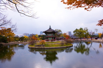 Obraz premium The scenery of Autumn colorful park.