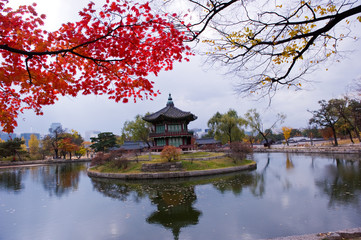 Fototapeta premium The scenery of Autumn colorful park.