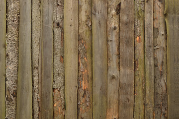 Natural background from a simple fence made of old rough wooden planks with the texture of unsmiled wood.