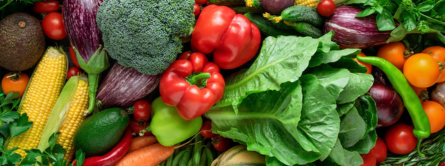 Fresh organic vegetable. Background from vegetables. Top view.Banner
