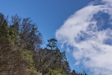 clouds in the wind in a landscape