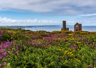 Wheal Coates ruined buildings in Cornwall England with colorful flowers in summer