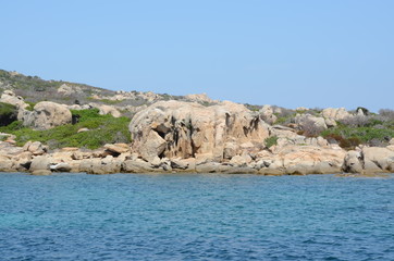rocky coast at asinara island, sardinia, italy