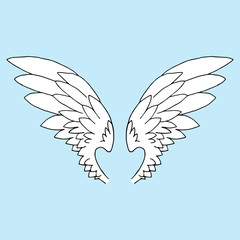 Set wings. Vector illustration wings. Hand drawn angel wings set.