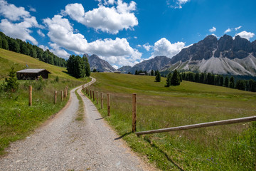 Sentiero tra le Dolomiti - 371971631