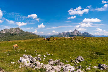 Climbing the Karhorn Via Ferrata near Warth Schrocken in the Lechquellen Mountains