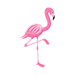 Cartoon flamingo standing on one leg position - cute exotic pink bird