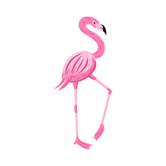 Pink flamingo character flat cartoon vector illustration isolated on white.