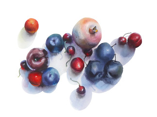 Watercolor painting. Still life with fruit and berries on a white background. - 371974684