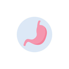 Human abdomen organ icon a stomach in circle, flat vector illustration isolated.