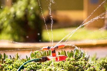 Garden Water Sprinkler