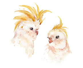 .Watercolor illustration tropical animal portraits. Exotic kids summer print for party. Cute poster with parrot cockatoo