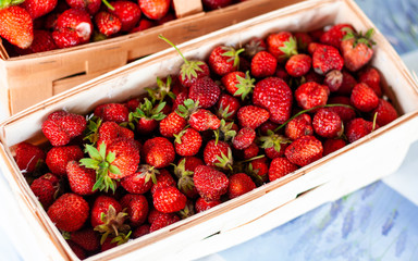 Two wooden baskets with red strawberries on the table close-up. Juicy, fresh strawberries, picked in the garden, lie in a box, a box for berries. A colorful photo taken on a sunny day in the country