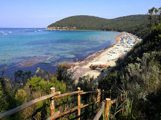 Italy Tuscany Cala violina, view of the beach and the bay