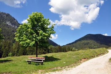 Obraz premium Unterwegs zur Modaualm im Berchtesgadener Land
