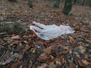 hand holding a leaf