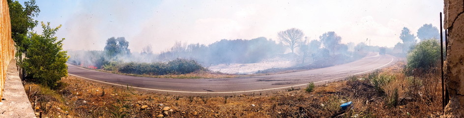 Large Wild Fire