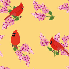 Seamless vector illustration with lilac and bird cardinal