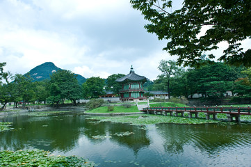 Obraz premium The scenery of summer of green colorful park.