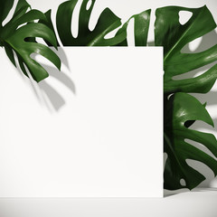 Minimal cosmetic background for product presentation. Tropical green leaves of monstera philodendron with white step background. 3d render illustration. Clipping path of each element included. © 3DJustincase