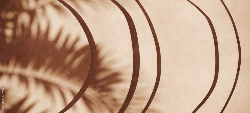 Poster minimal background for branding and product presentation. circle geometry step with shadow of leaf. 