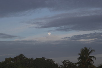Uma noite de lua cheia...