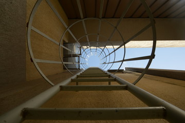 point of view under a ladder