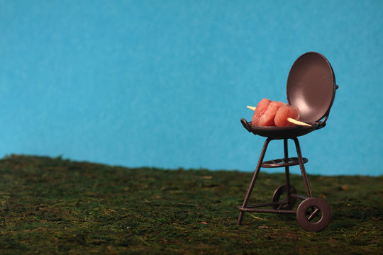 grilled meat on a roaster isolated on green grass against blue background
