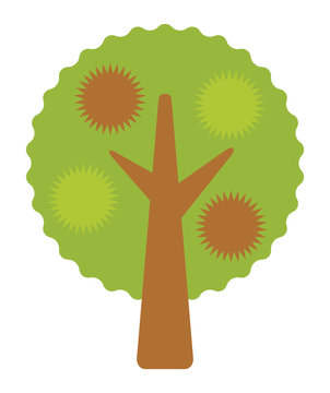 648 Best 栗の木 Images Stock Photos Vectors Adobe Stock