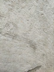 stone wall texture