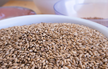 malt to make craft beer