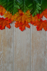 Naklejka na ściany i meble Autumn background with space for text or design orange maple leaves and green oak leaf on a wooden background