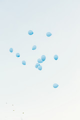 Blue ballons floating in the air