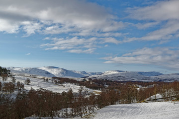 Fototapeta na wymiar Looking over the Valley's of Glen Esk and Glen Clova, on a cold Afternoon in February under a light Blue Sky with White Clouds.