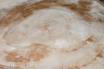 wood texture, abstraction. wooden slats for construction and home decoration. sawn board