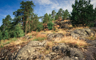 Rocks and pines against the sky
