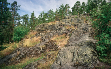 Fototapeta na wymiar Rocks in the forest