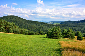 Summer landscape in the mountains with green meadows and forested hills, Low Beskids (Beskid Niski), Poland  - obrazy, fototapety, plakaty