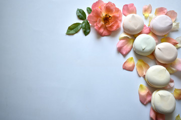 top view of a delicate marshmallow with a rose and its petals
