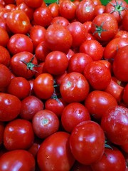 red tomatoes background