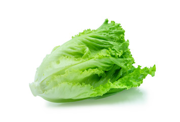 Fresh green Lettuce leaves, Salad leaf isolated on white background. with clipping path.