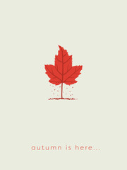 Autumn or fall card template with maple leaf as tree with leaves falling to ground.