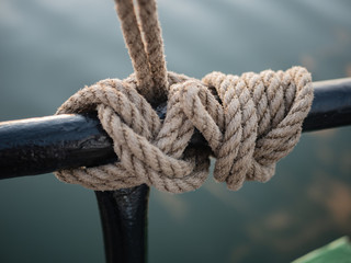 Fototapeta premium Knots