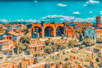 View of the Roman Forum from the Hill of Palatine - a general overview of the entire Roman Forum...
